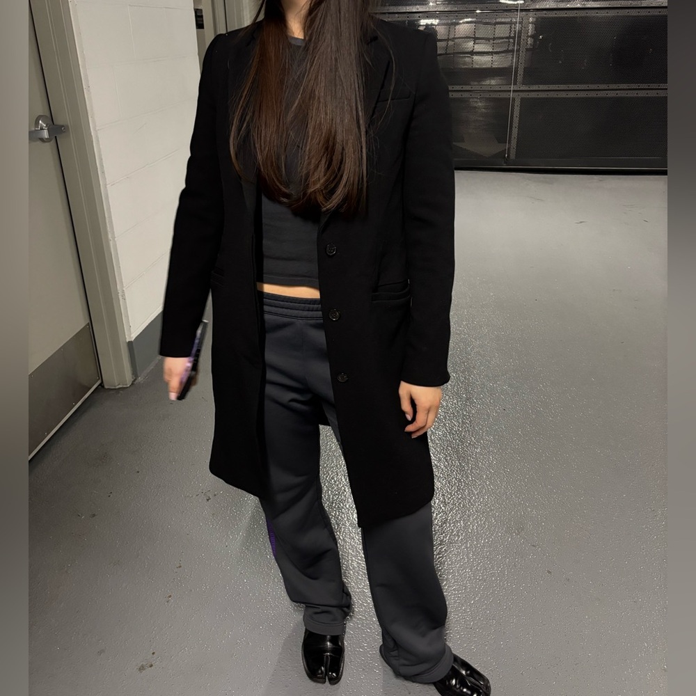 Aritzia Babaton Wool Coat